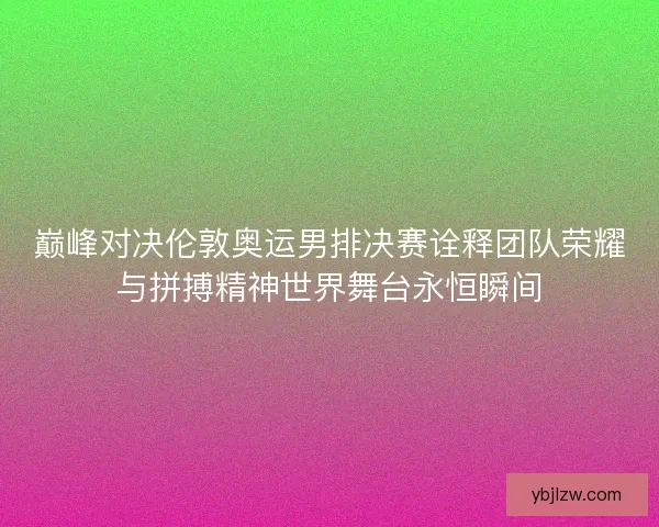 巅峰对决伦敦奥运男排决赛诠释团队荣耀与拼搏精神世界舞台永恒瞬间